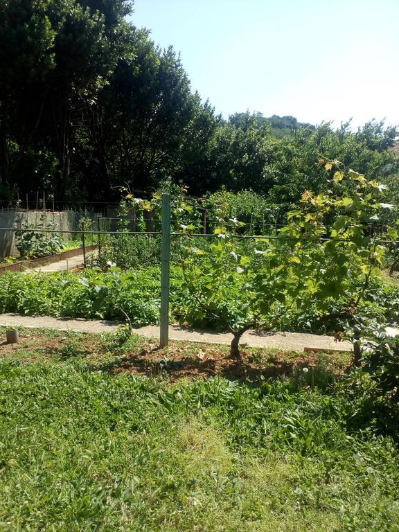 Jedro Apartmani تْشيرسيك نوفي المظهر الخارجي الصورة